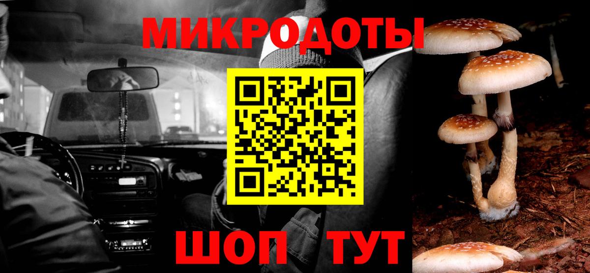 Губкинский  Псилоцибиновые грибы мицелий  наркота  Вход с VPN 