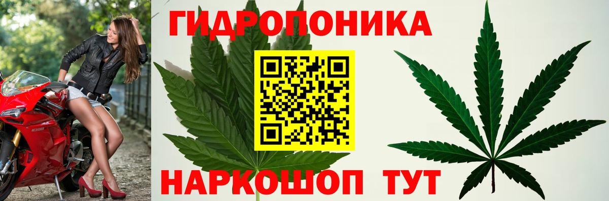 Бошки Шишки THC 21%  Вход с VPN  Губкинский  Каннабис марихуана  Бошки марихуана White Widow 